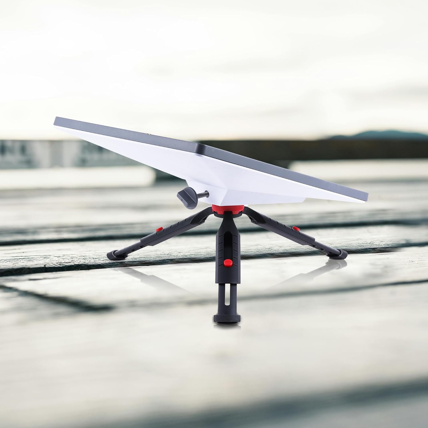 71CBdFVjMoL._AC_SL1500