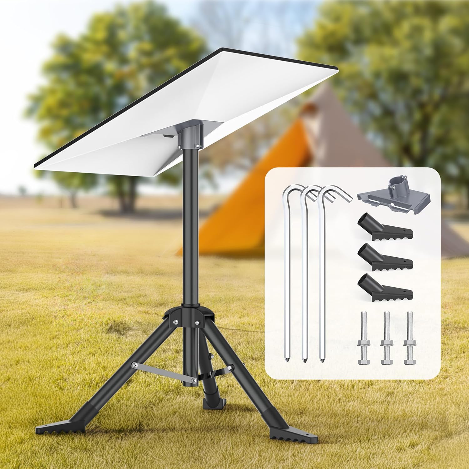 81r9QyLzDXL._AC_SL1500